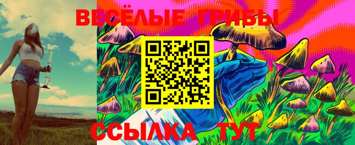 Галлюциногенные грибы мицелий Белово