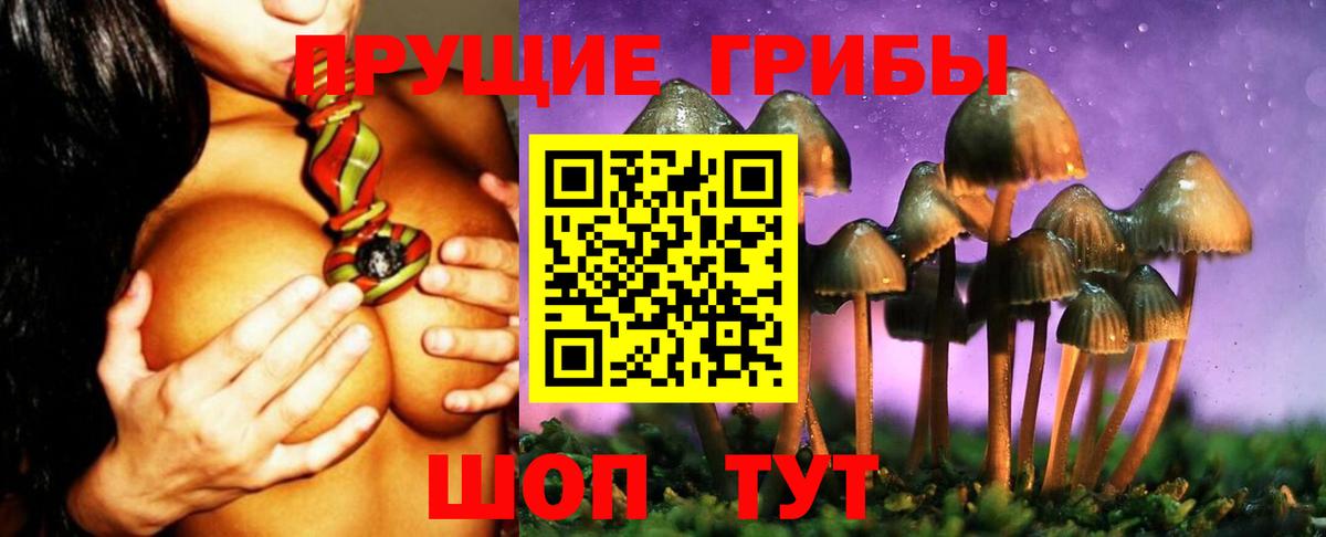 Белово  Галлюциногенные грибы ЛСД  Вход с VPN 